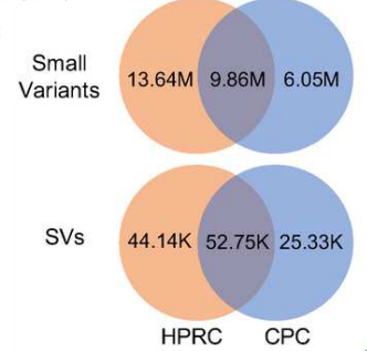 image009.png image009.png