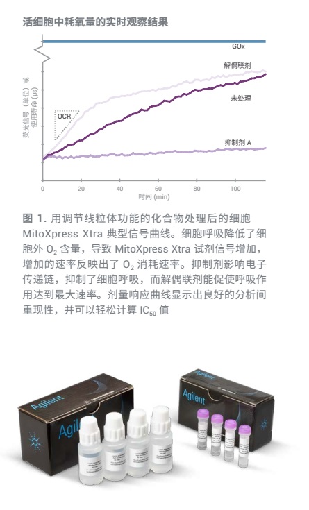 耗氧量的计算原理_包括可氧化的有机物与无机物,但因为水中可氧化的无机物一般较少,所以有(2)