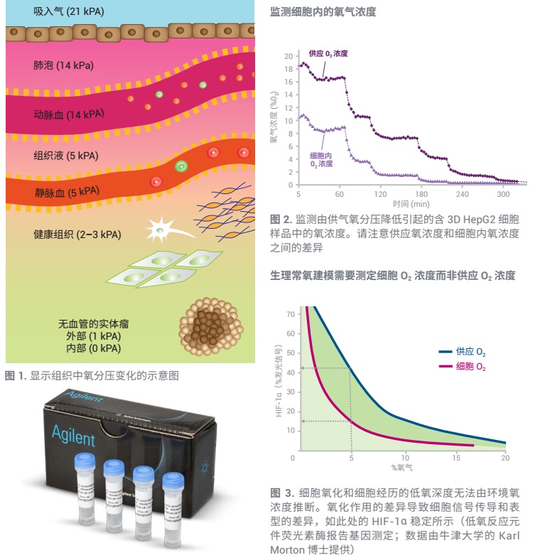 MitoXpress Intra（细胞内耗氧量分析）实时监测细胞氧化 - 生物通