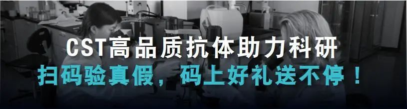 叮~您有一份礼品待签收！