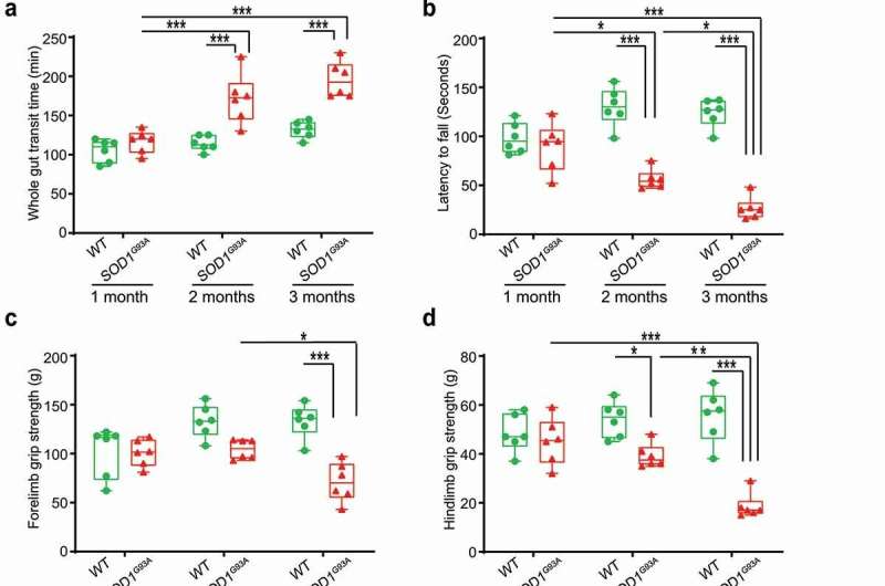 Could there be a link between the enteric neurons, gut microbiome and ALS? 