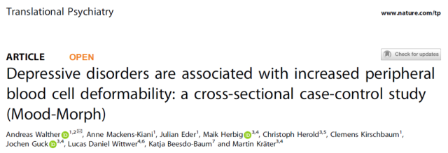 Elevated deformability of immune cells in people with depression