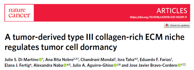 New breakthrough: This collagen can make tumor cells go dormant!