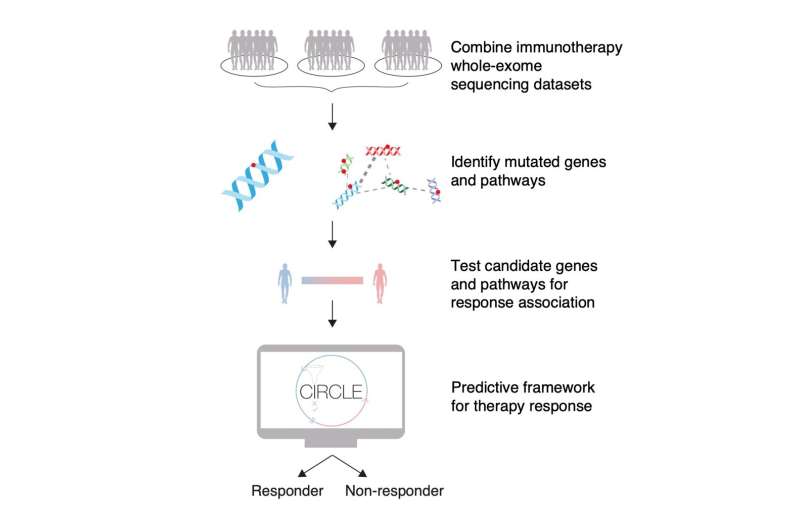 Whole exome sequencing predicts whether patients respond to cancer immunotherapy