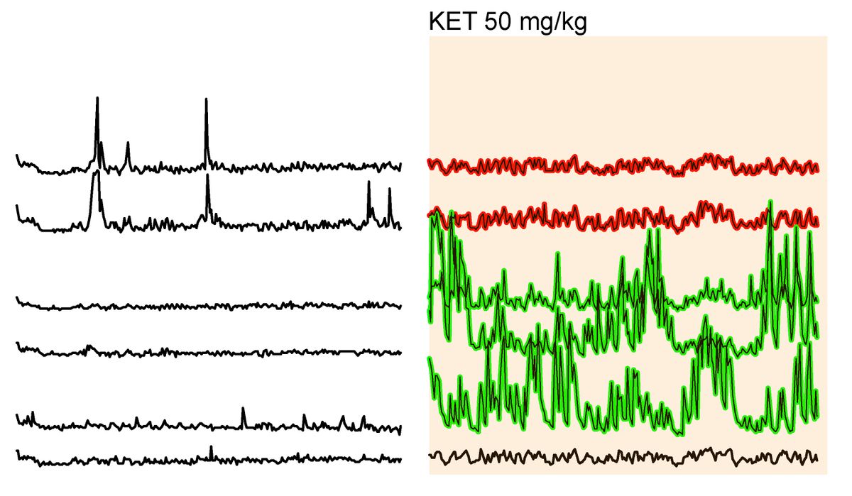 graph representing the activity of three groups of neurons. Red and green lines represent decreased and increased activity, respectively.