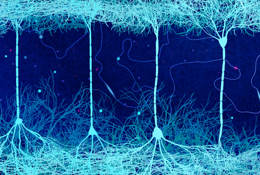 Illustration of neurons.