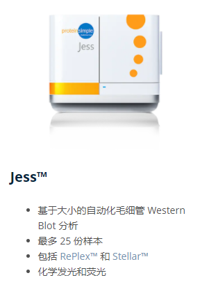 jess-525x525.png