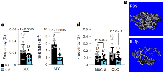 How to rejuvenate the hematopoietic system without blood transfusion?