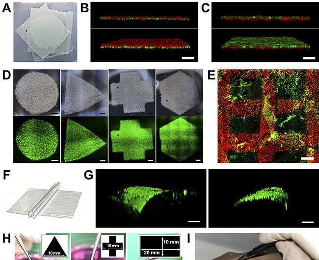 Transfer-tattoo-like cell-sheet delivery for wounds