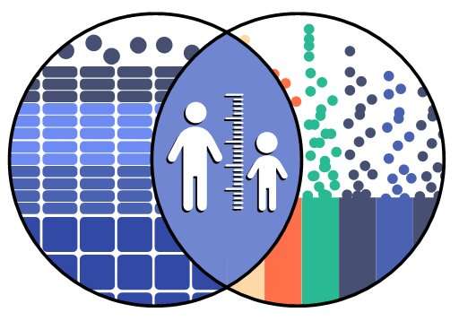 Scientists narrow down pool of potential height genes