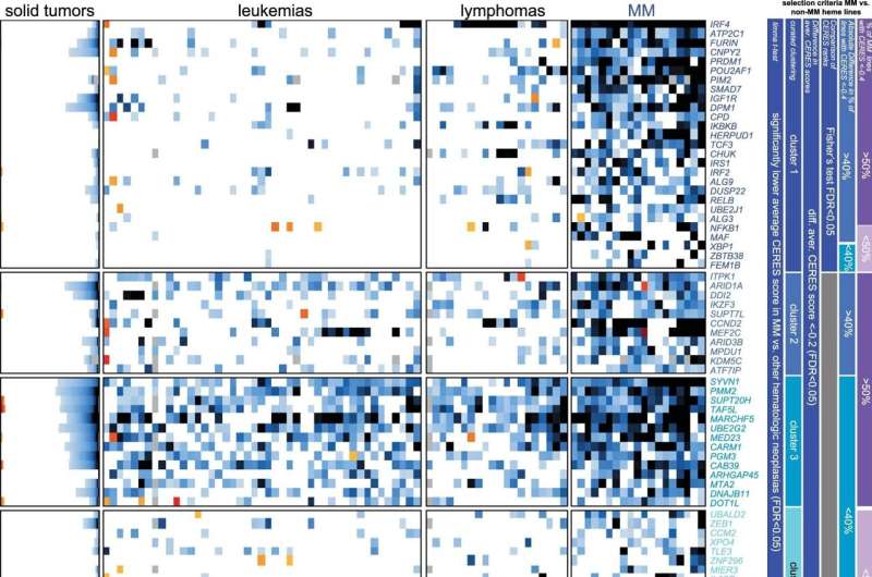 CRISPR studies identify many promising therapeutic targets for multiple myeloma