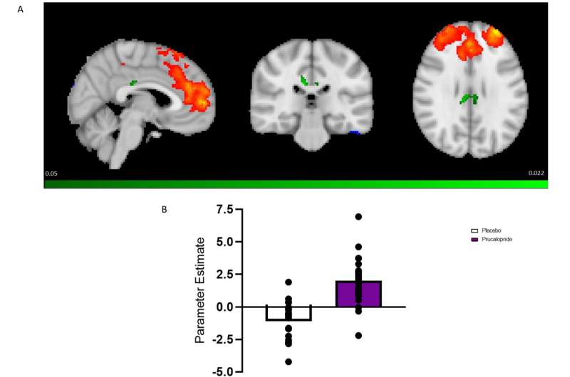 Serotonin booster leads to increased functional brain connectivity