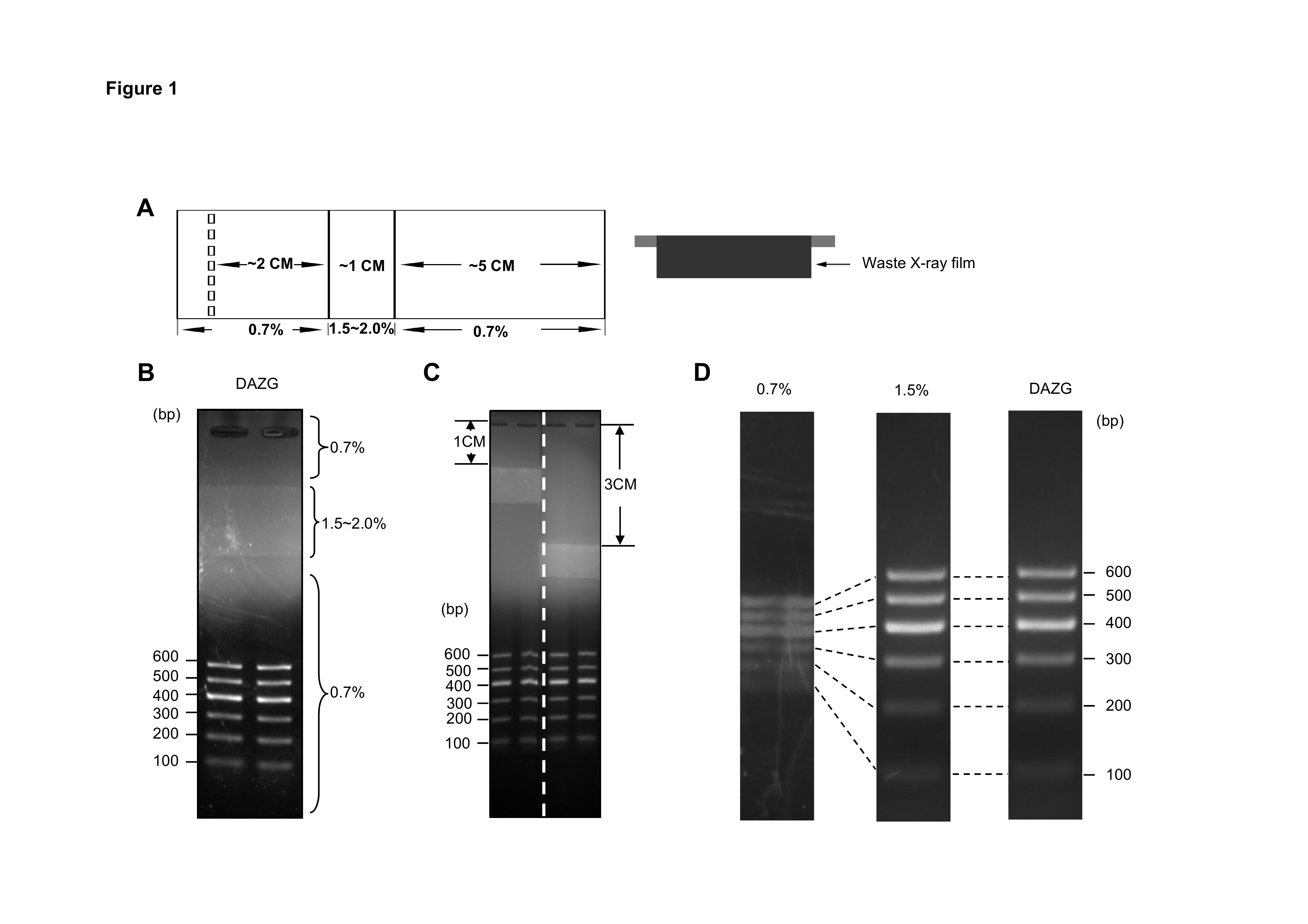 今日动态 正文 方法改进:在电泳中,使用不连续琼脂糖区带电泳,即可以