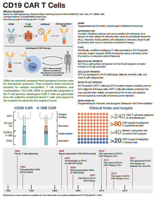Cell 一张图说清楚cd19 Car T细胞转化医学 生物通