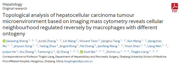 【Gut】成像质谱流式助力浙大一院肝胆胰团队肝细胞癌肿瘤微环境拓扑分析